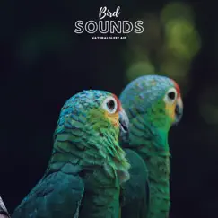 Bird Sounds Natural Sleep Aid - Single by Natural Sample Makers, Natural Sound Makers & Nature Recordings album reviews, ratings, credits