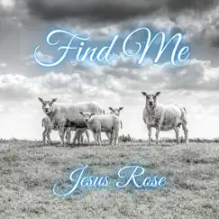 Find Me (feat. Jesus Rose) - Single by Seraj Ardakani album reviews, ratings, credits