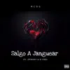 Salgo A Janguear (feat. D Cro & Zpirant) - Single album lyrics, reviews, download