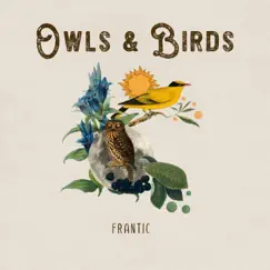 Owls & Birds by Frantic album reviews, ratings, credits