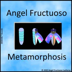 Metamorphosis Song Lyrics