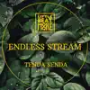 Endless Stream - Single album lyrics, reviews, download