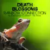 Rainbow Connection – Headbanging to Kermit the Frog - Single album lyrics, reviews, download