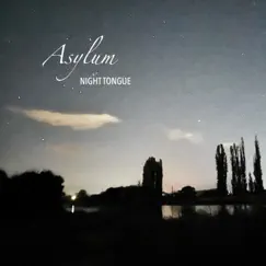 Asylum - Single by Night Tongue album reviews, ratings, credits