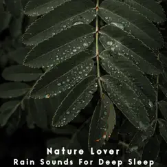 Rain by a Forest Stream Song Lyrics