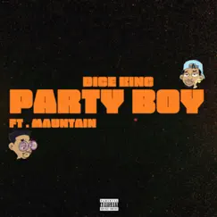 Party Boy (feat. Mauntain) Song Lyrics