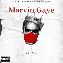 Marvin Gaye (feat. Yk Sir) Song Lyrics