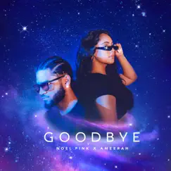 Goodbye (feat. Ameerah) - Single by Noel Pink album reviews, ratings, credits