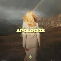 Apologize Song Lyrics