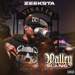 Valley Slang by Zeeksta album reviews, ratings, credits