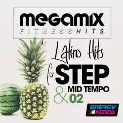 Megamix Fitness Latino Hits For Step and Mid Tempo 02 by Various Artists album reviews, ratings, credits