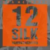 12 Silk Handkerchiefs (feat. Brian W Lavery, Sam Martyn & Mick McGarry) album lyrics, reviews, download