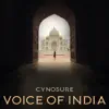 Voice of India - Single album lyrics, reviews, download