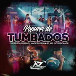Popurrí de Tumbados: Disfruto Lo Malo/Ya Se Fue Manuel/El Comerciante - Single by Banda Azpericueta album reviews, ratings, credits
