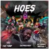 HOES (feat. lil ronny mothaf & fat pimp) - Single album lyrics, reviews, download