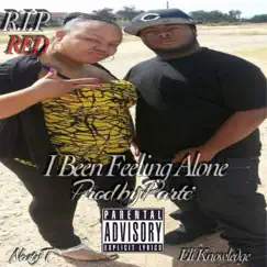 I Been Feeling Alone (feat. Nasty-T & EliKnowledge) Song Lyrics