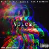 Voices (feat. Zach B & the Kevin Bennett) - Single album lyrics, reviews, download