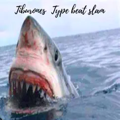 Tiburones Type Beat Slam Song Lyrics