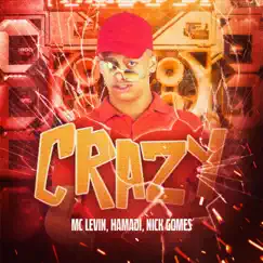 Crazy - Single by MC Levin & Hamadi album reviews, ratings, credits