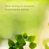 Birds Calling In Harmony - Single album lyrics, reviews, download