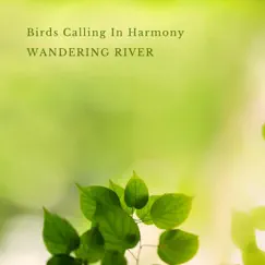 Birds Calling In Harmony - Single by Wandering River album reviews, ratings, credits