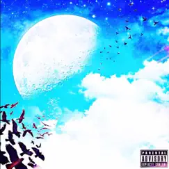 Fly Away (feat. Camo Grxxn) Song Lyrics