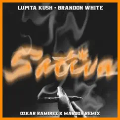 Sativa (feat. Brandon White) [Remix] Song Lyrics