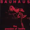 The Passion of Lovers - Single album lyrics, reviews, download