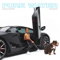 Pure Water - Single by Mustard & Migos album reviews, ratings, credits