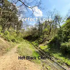 Perfect Love - Single by Hot Black Cherry album reviews, ratings, credits