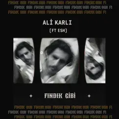 Fındık Gibi - Single by Ali Karlı album reviews, ratings, credits
