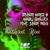 Without You (feat. Junior Paes) - Single album lyrics, reviews, download