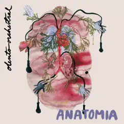 Anatomia by Olento Orchestral album reviews, ratings, credits