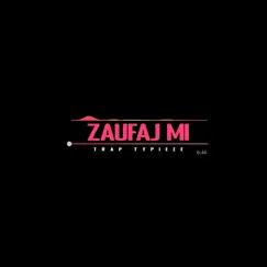 Zaufaj mi - Single by Trap Typieee album reviews, ratings, credits