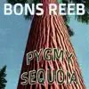 Pygmy Sequoia album lyrics, reviews, download