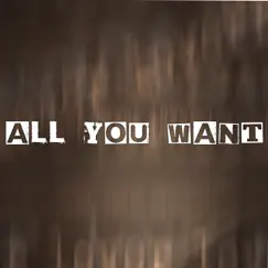 All You Want (feat. Alter) Song Lyrics