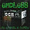 Endless (feat. RAPIRA666) - Single album lyrics, reviews, download