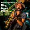 King David Dance (Radio Edit) - Single album lyrics, reviews, download
