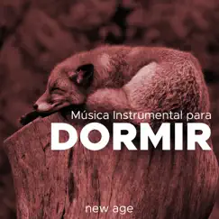 Dormir Profundamente Song Lyrics