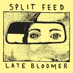 Late Bloomer - EP by Split Feed album reviews, ratings, credits