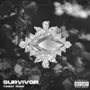 Survivor - Single album lyrics, reviews, download