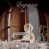 Lagrimitas de sal (feat. Federico Gamba & Raly Barrionuevo) - Single album lyrics, reviews, download