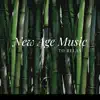 New Age Music to Relax album lyrics, reviews, download