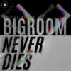 Bigroom Never Dies - Single album lyrics, reviews, download