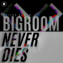 Bigroom Never Dies Song Lyrics