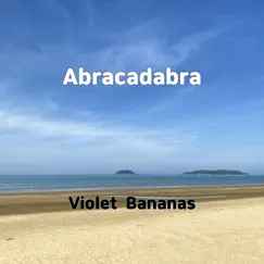 Abracadabra - Single by Violet Bananas album reviews, ratings, credits