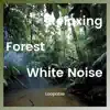 Relaxing Forest Nature Sounds with White Noise, Loopable album lyrics, reviews, download