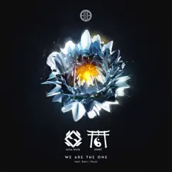 We Are the One (feat. Born I Music) - Single by Data Wave & Skan album reviews, ratings, credits