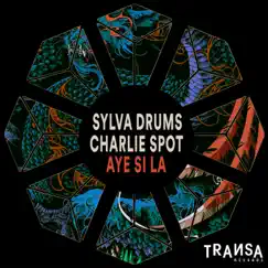 Aye si la (Iberican Mix) - Single by Sylva Drums & Charlie Spot album reviews, ratings, credits
