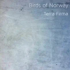 Terra Firma Song Lyrics